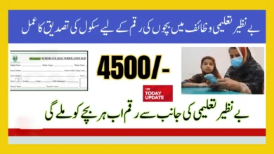 School verification slip by benazir taleemi wazaif for 4500