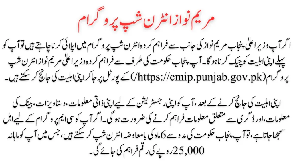 CMIP Punjab Gov Pk internship program by goverment of punjab