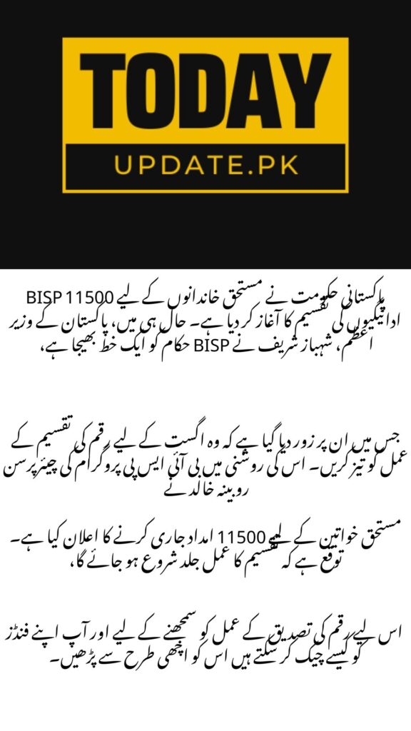 BISP 11500 Payments