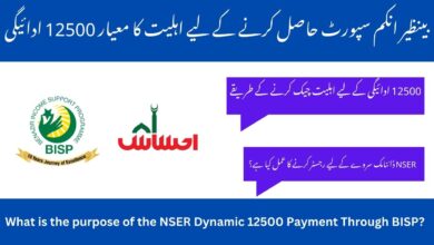 Receive 12500 Payment Through BISP Via 8171 NSER Dynamic Survey