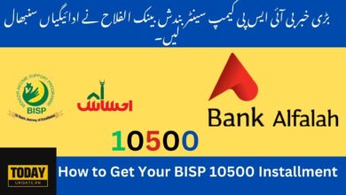 BSIP Camp New Update