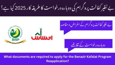 What documents are required to apply for the Benazir Kafalat Program Reapplication?