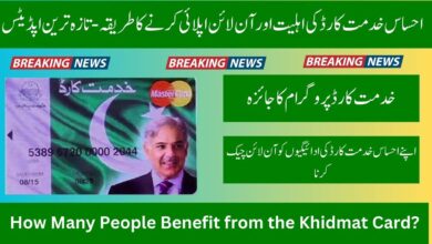 Who is Eligible for the Ehsaas Khidmat Card?