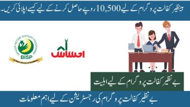 How To Apply For The Benazir Kafaalat Program To Receive Rs10,500