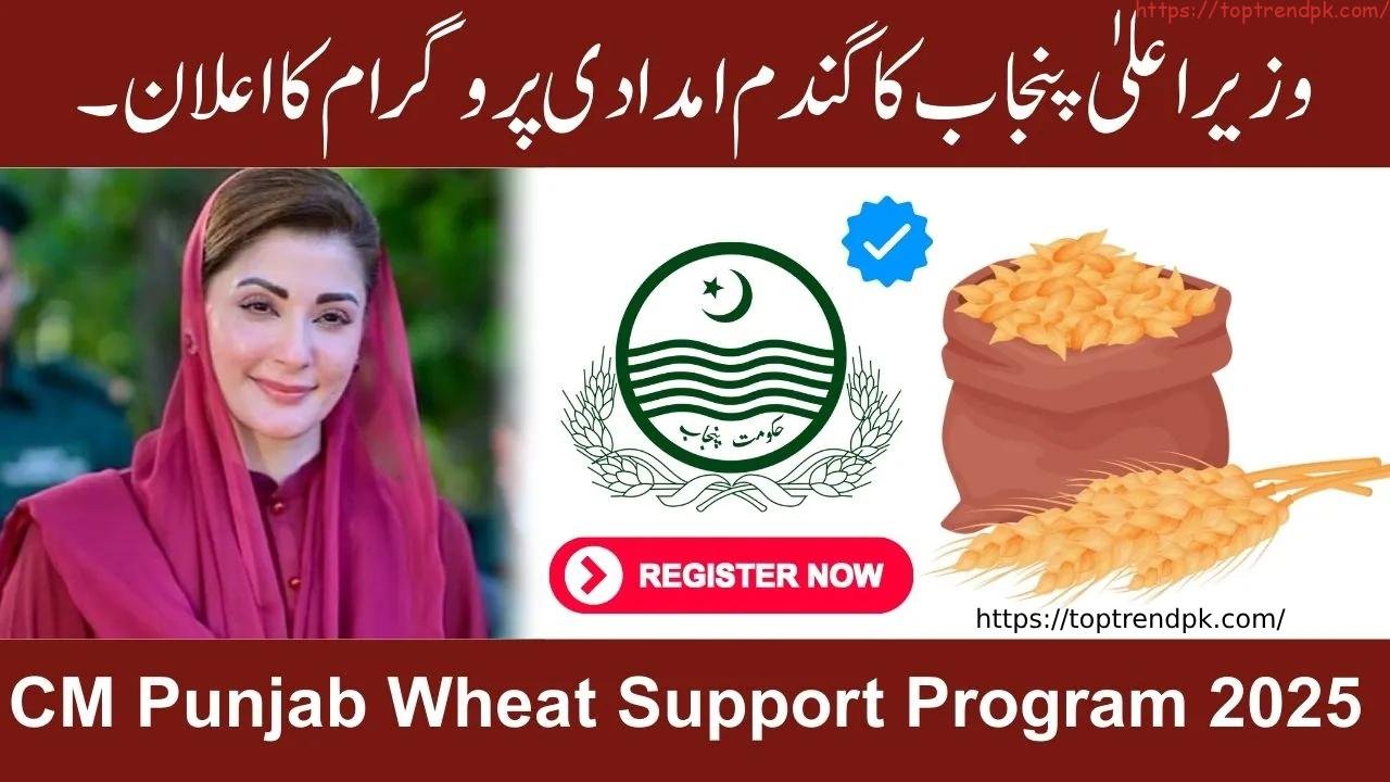Small farmer receiving wheat subsidy under CM Punjab Wheat Support Program 2025